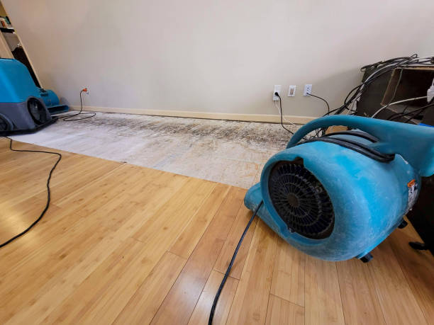 Professional Water Damage Repair technician working in Indiana, IN